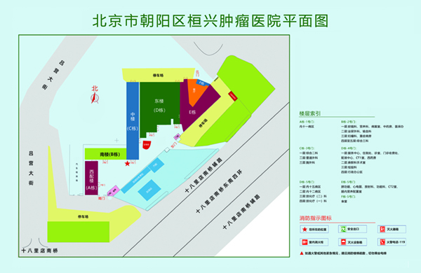 大鸡八操逼视频北京市朝阳区桓兴肿瘤医院平面图